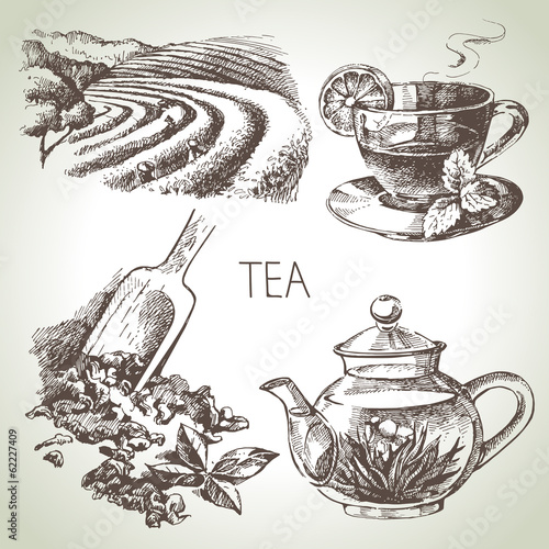 Hand drawn sketch vector tea set