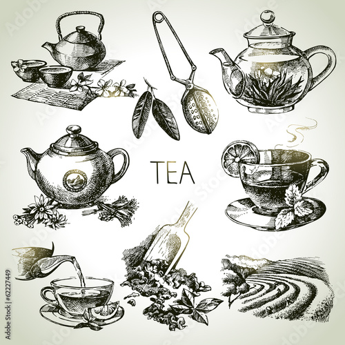 Hand drawn sketch vector tea set