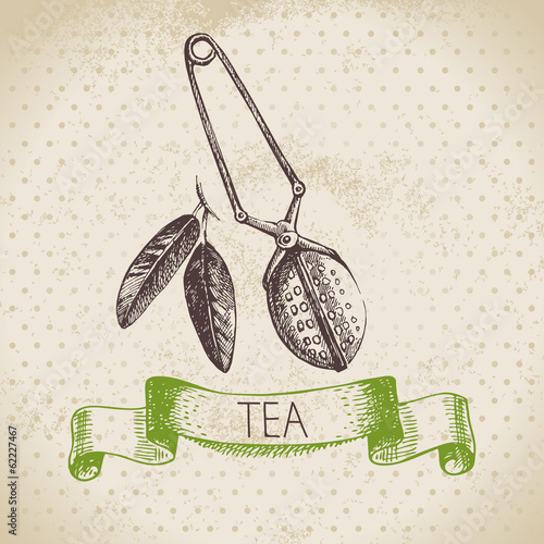Tea vintage background. Hand drawn sketch illustration