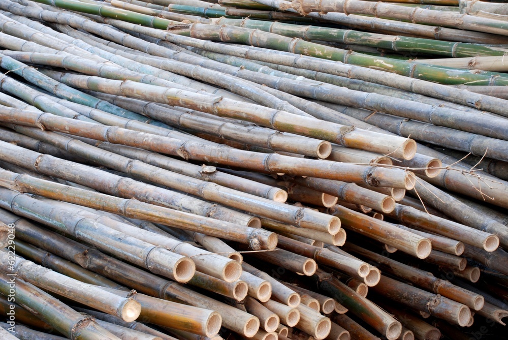 Bamboo sticks raw material for constructions of Asian Bamboo sticks raw material for constructions of Asian