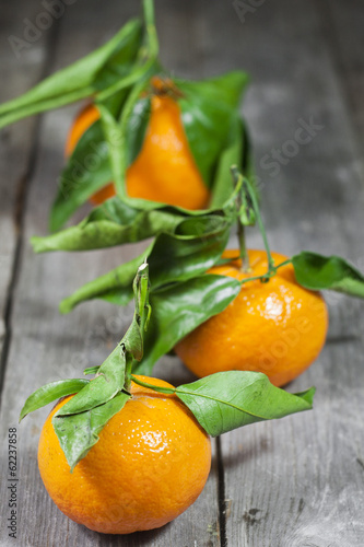 Tangerines with leaves