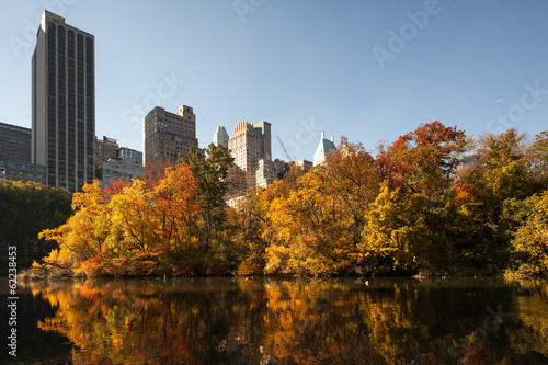 Fototapeta Naklejka Na Ścianę i Meble -  Autumn in Central Park