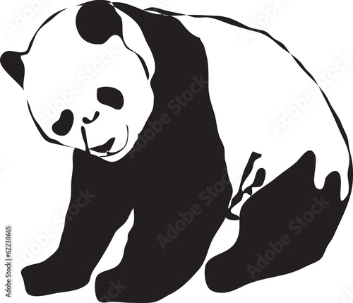 Fototapeta Naklejka Na Ścianę i Meble -  Panda babies vector silhouette