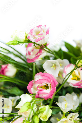 spring flowers background on white background © Sergii Figurnyi