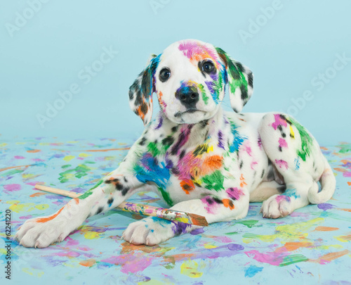 Painted Puppy