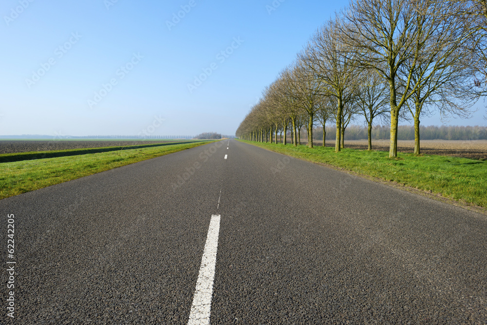 Road through a sunny countryside
