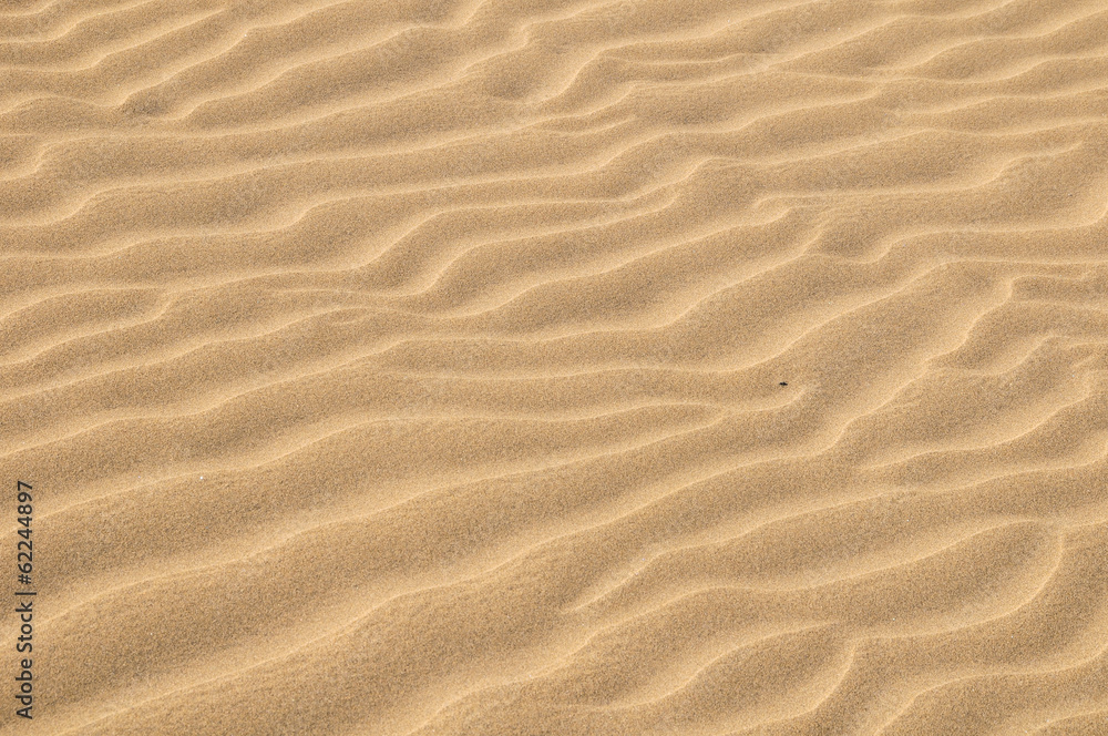 Obraz premium Sand Dune Desert Texture