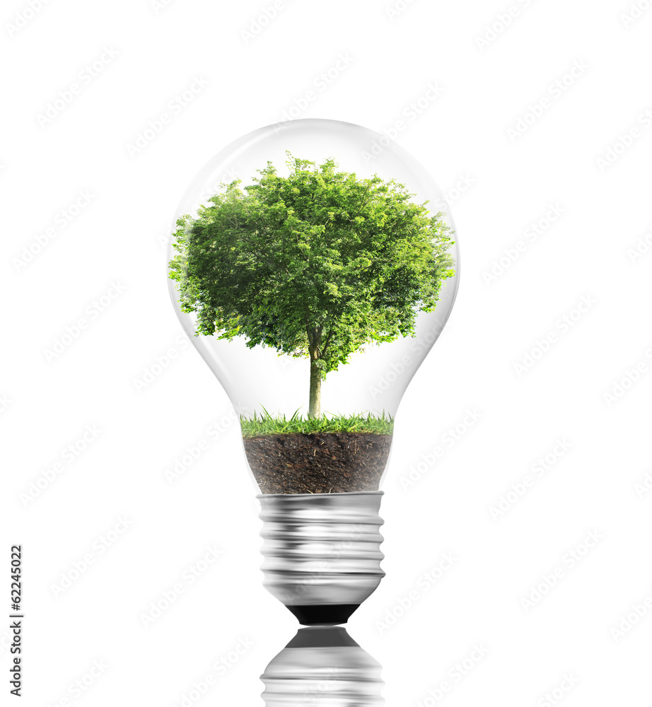 light bulb Alternative energy concept light bulb Alternative energy concept