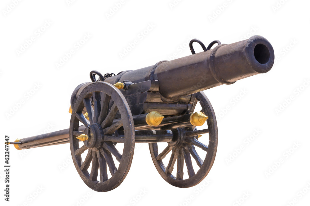 Ancient cannon