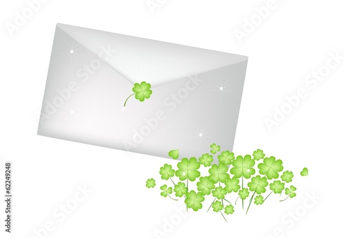 Lovely Four Leaf Clovers with A Letter