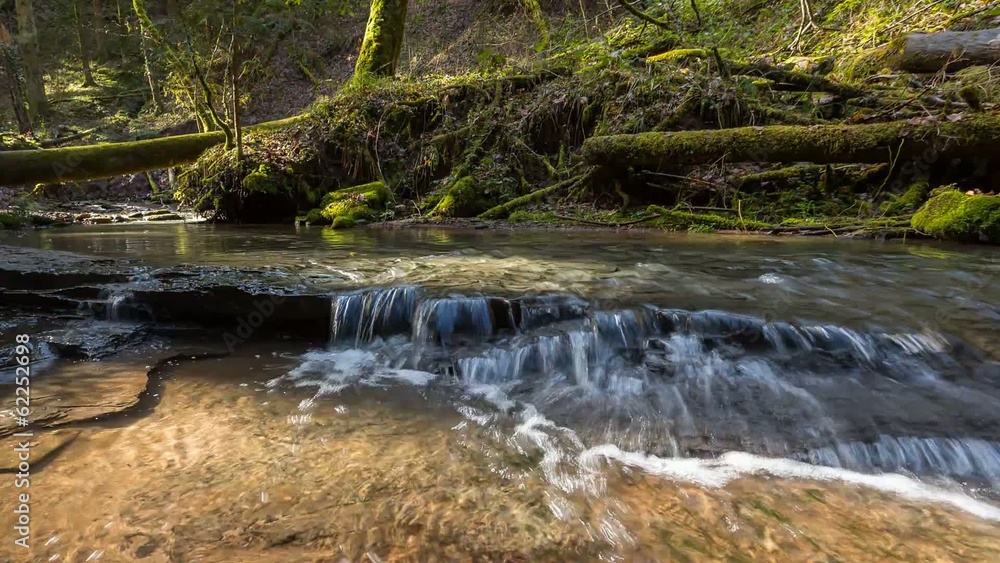 Bach in der Hörschbachschlucht bei Murrhardt Bach in der Hörschbachschlucht bei Murrhardt