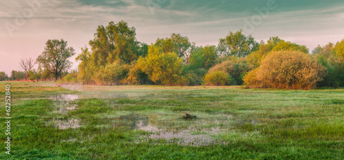 Wallpaper Mural Colorful spring morning on the foggy meadow Torontodigital.ca