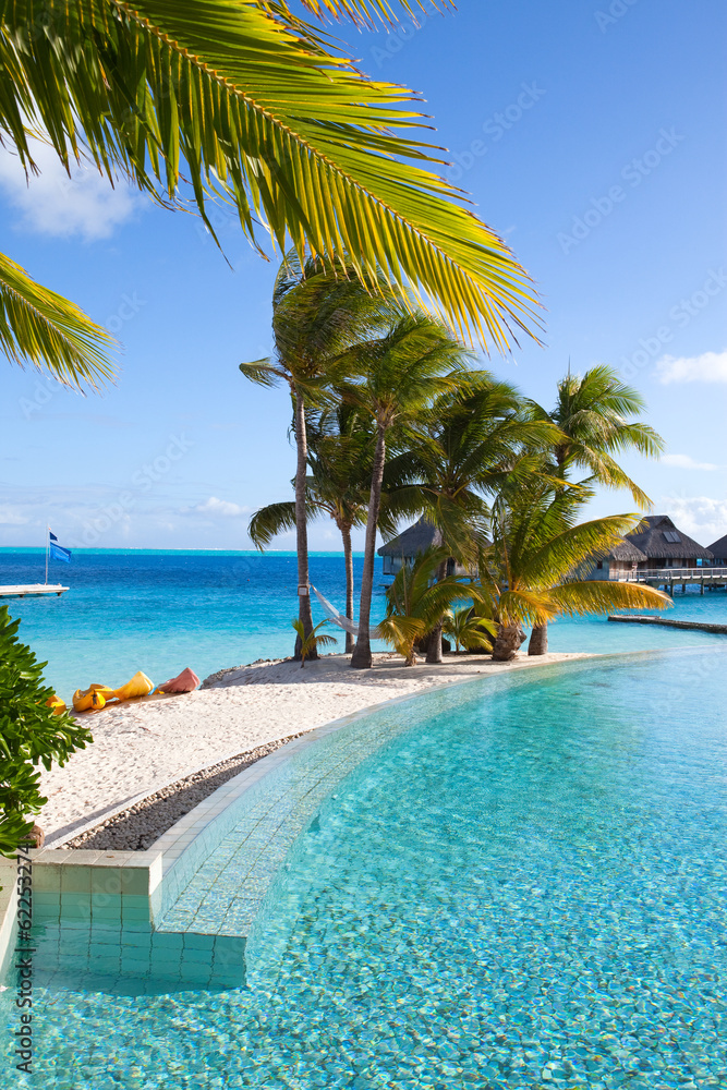 seacoast with palm trees and small houses on water.