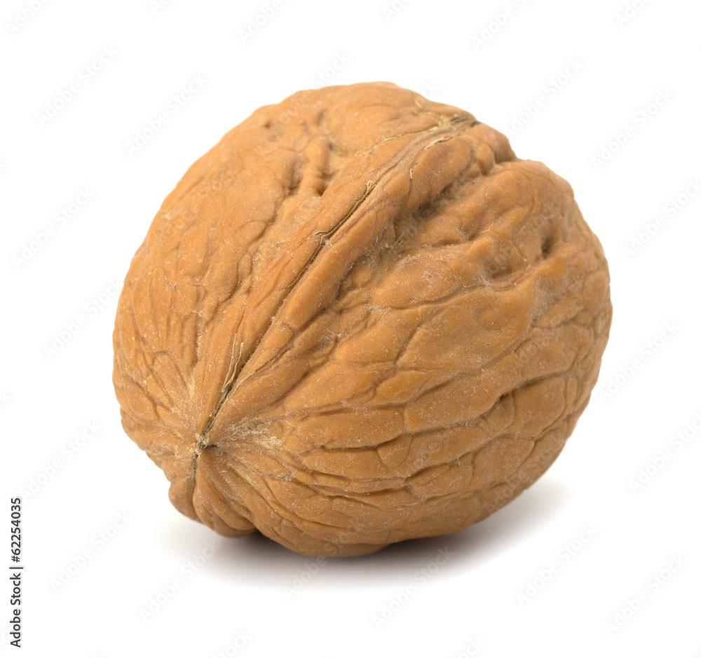 whole and cracked walnut isolated on the white background whole and cracked walnut isolated on the white background