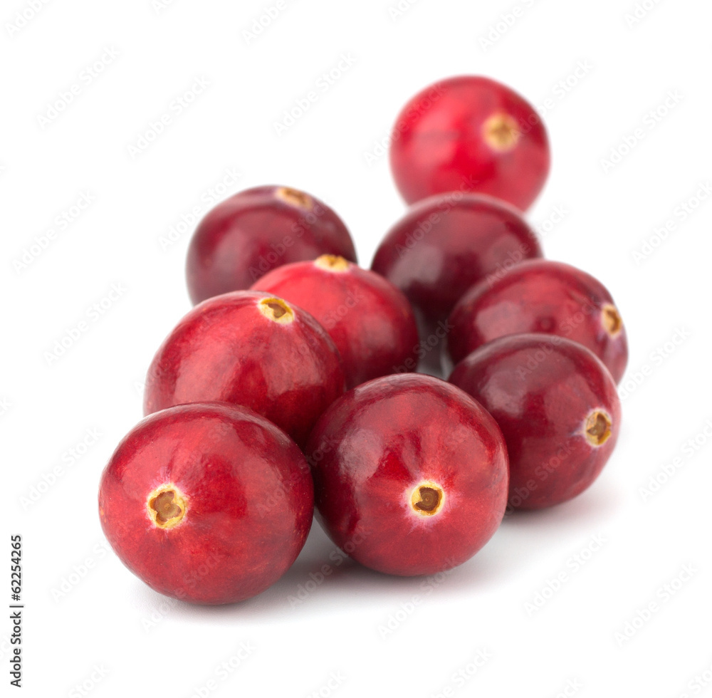 Fototapeta premium Cranberry isolated on white background closeup