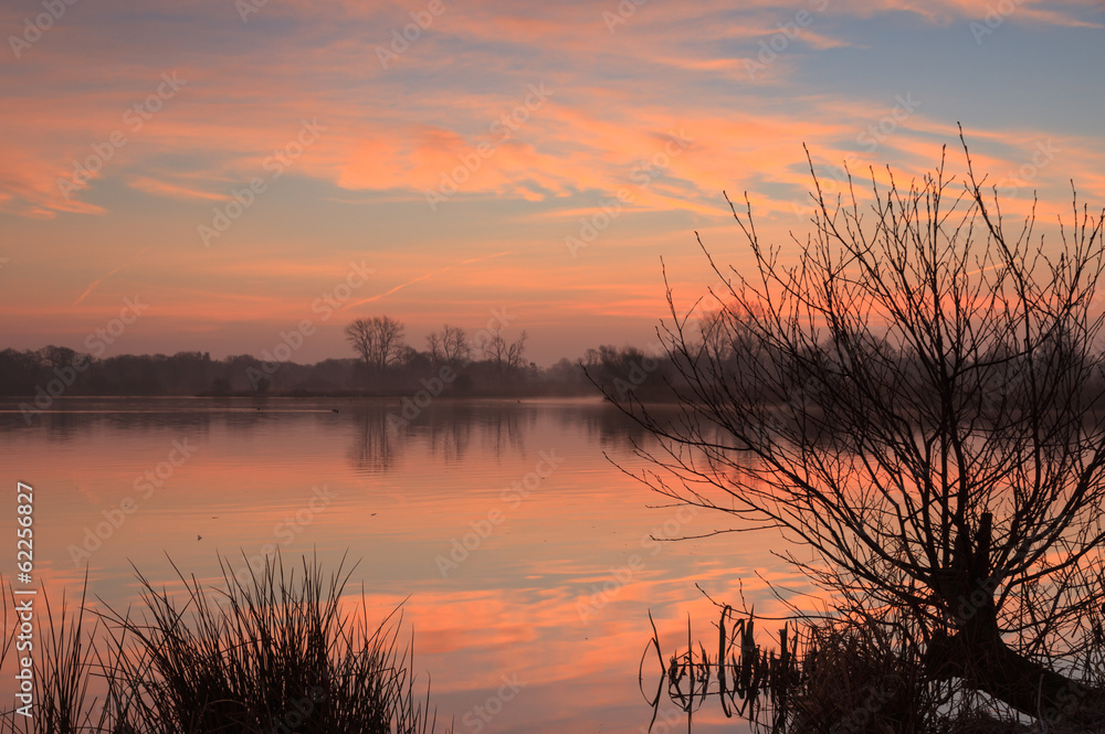 Naklejka premium Foggy sunrise a a small pond.