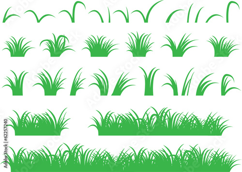 Green grass illustrated on white