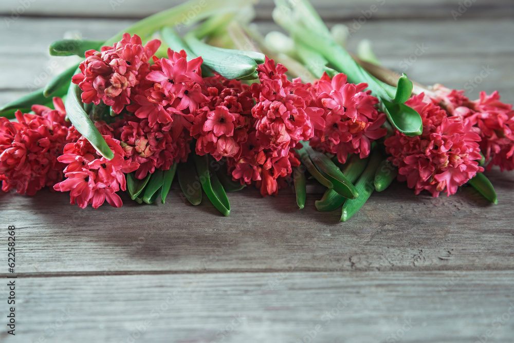 Bouquet of red hyacinths on a wooden table Bouquet of red hyacinths on a wooden table