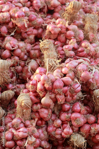Shallot - asia red onion in market
