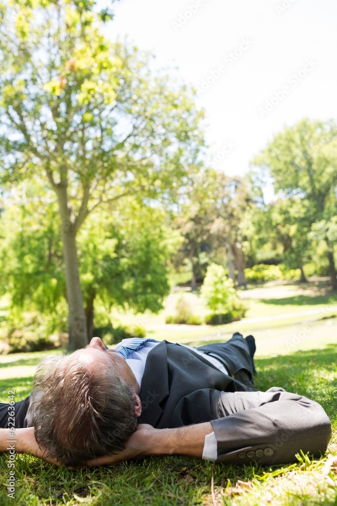Fototapeta premium Businessman lying in park