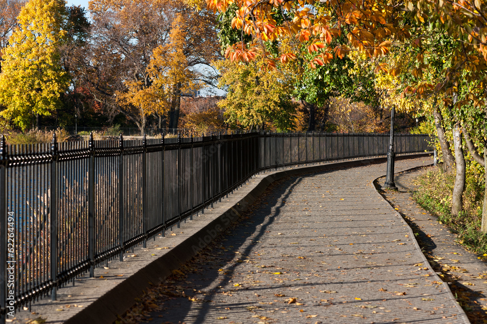 A path in Central Park in autumn
