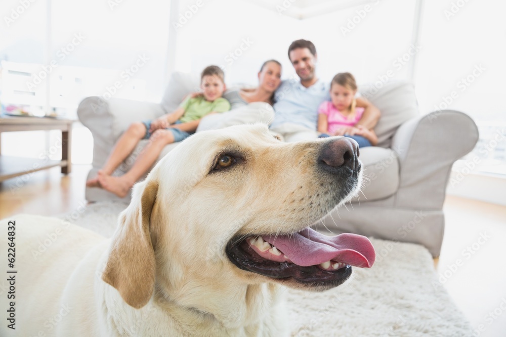Happy family sitting on couch with their pet yellow labrador