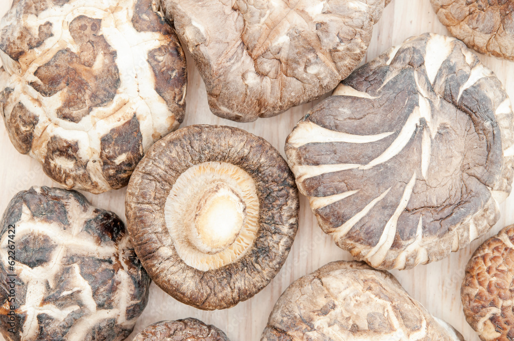 closeup died shiitake mushrooms on wood floor. closeup died shiitake mushrooms on wood floor.