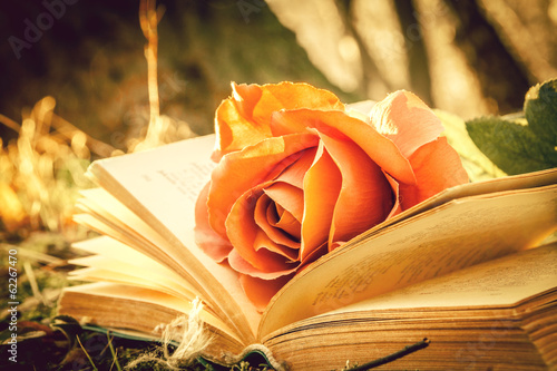 book and rose