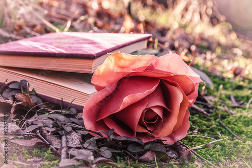book and rose
