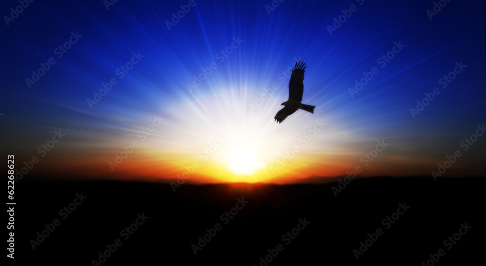 Obraz premium sunrise