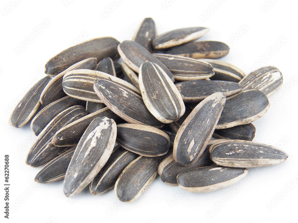 Sunflower seeds on white background Sunflower seeds on white background