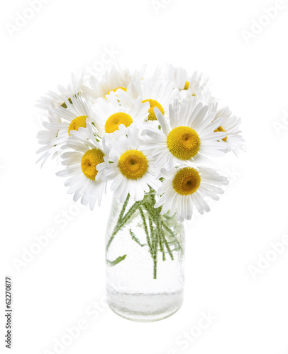 Fototapeta Naklejka Na Ścianę i Meble -  Bouquet of daisies