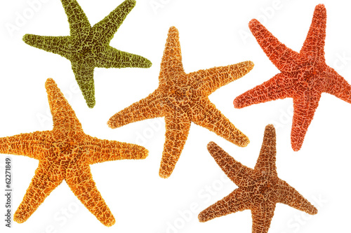 Five starfish