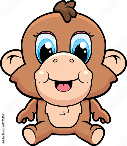 Baby Monkey