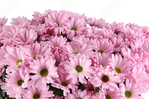 Chrysanthemums