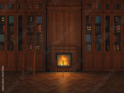 libraries around the fireplace