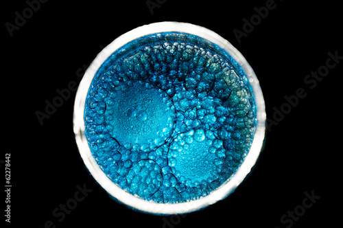 blue cells dividing form a bigger one