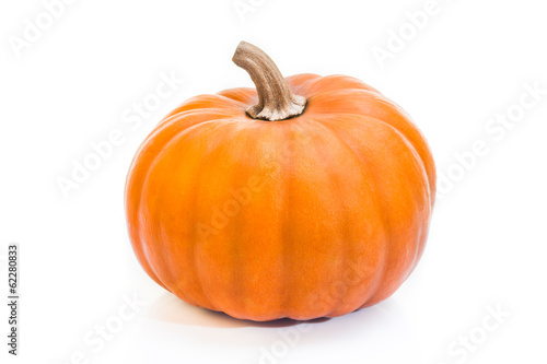 zucca gialla