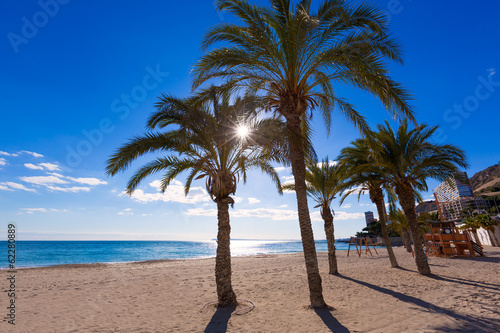 Alicante San Juan beach of La Albufereta with palms trees © lunamarina
