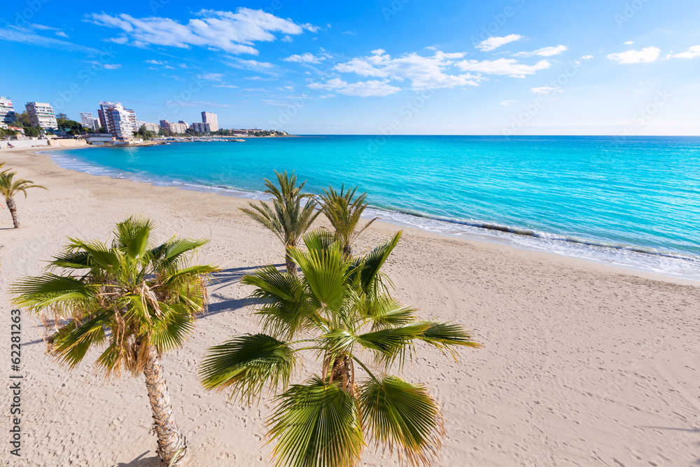 Alicante San Juan beach of La Albufereta with palms trees StockFoto