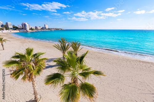 Fototapeta Naklejka Na Ścianę i Meble -  Alicante San Juan beach of La Albufereta with palms trees