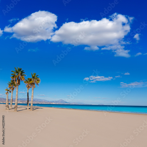 Alicante San Juan beach with palms trees of Mediterranean