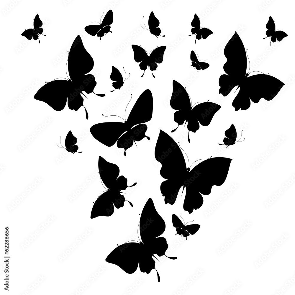 butterflies design butterflies design
