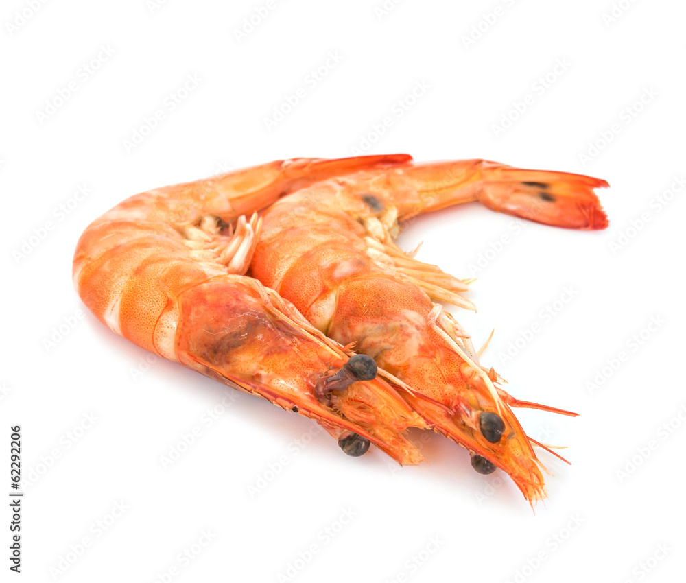 fresh shrimp isolated on a white background fresh shrimp isolated on a white background
