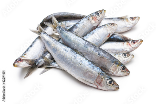 Fresh raw sardines photo