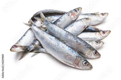 Obraz Fresh raw sardines