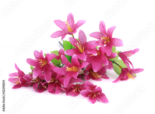 Close up of flower bouquet.