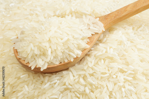 Closeup of Rice