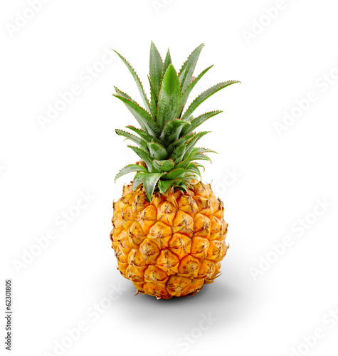 Young Pineapple - isolated