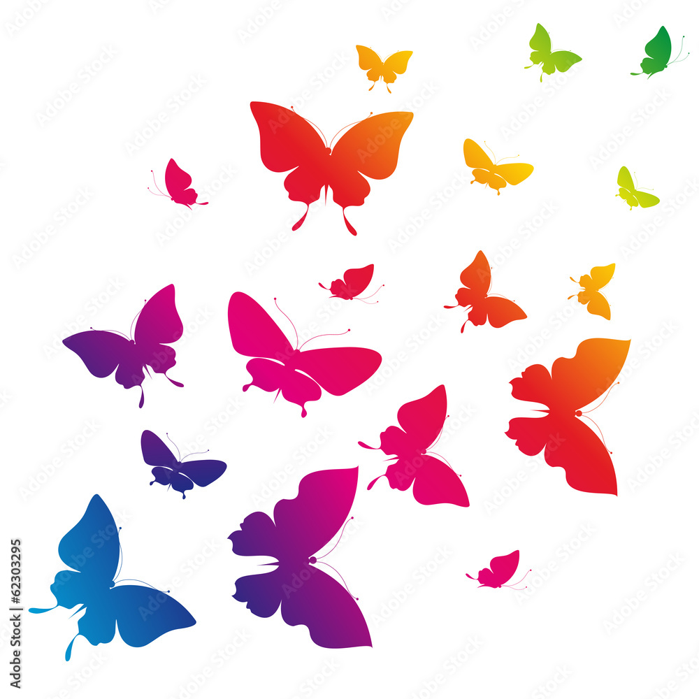 Fototapeta premium butterflies design